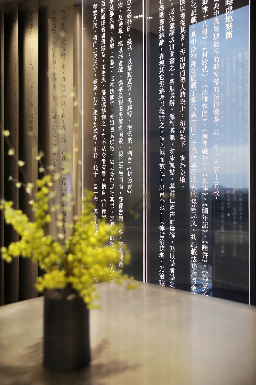 1200平現(xiàn)代東方珠光律師事務(wù)所裝修設(shè)計(圖7)