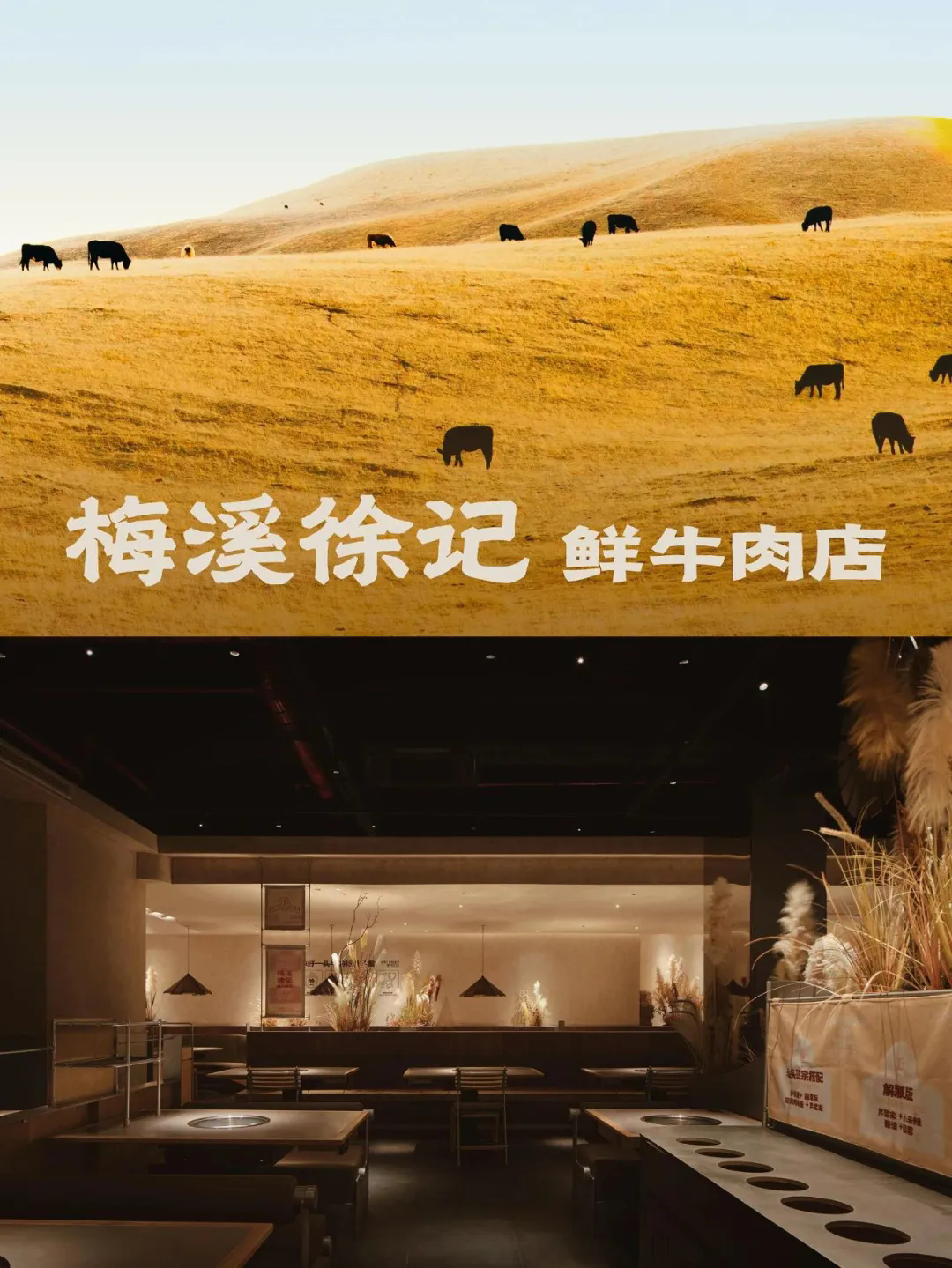 徐記·鮮牛肉潮汕火鍋店全案裝修設(shè)計(jì)方案(圖1)